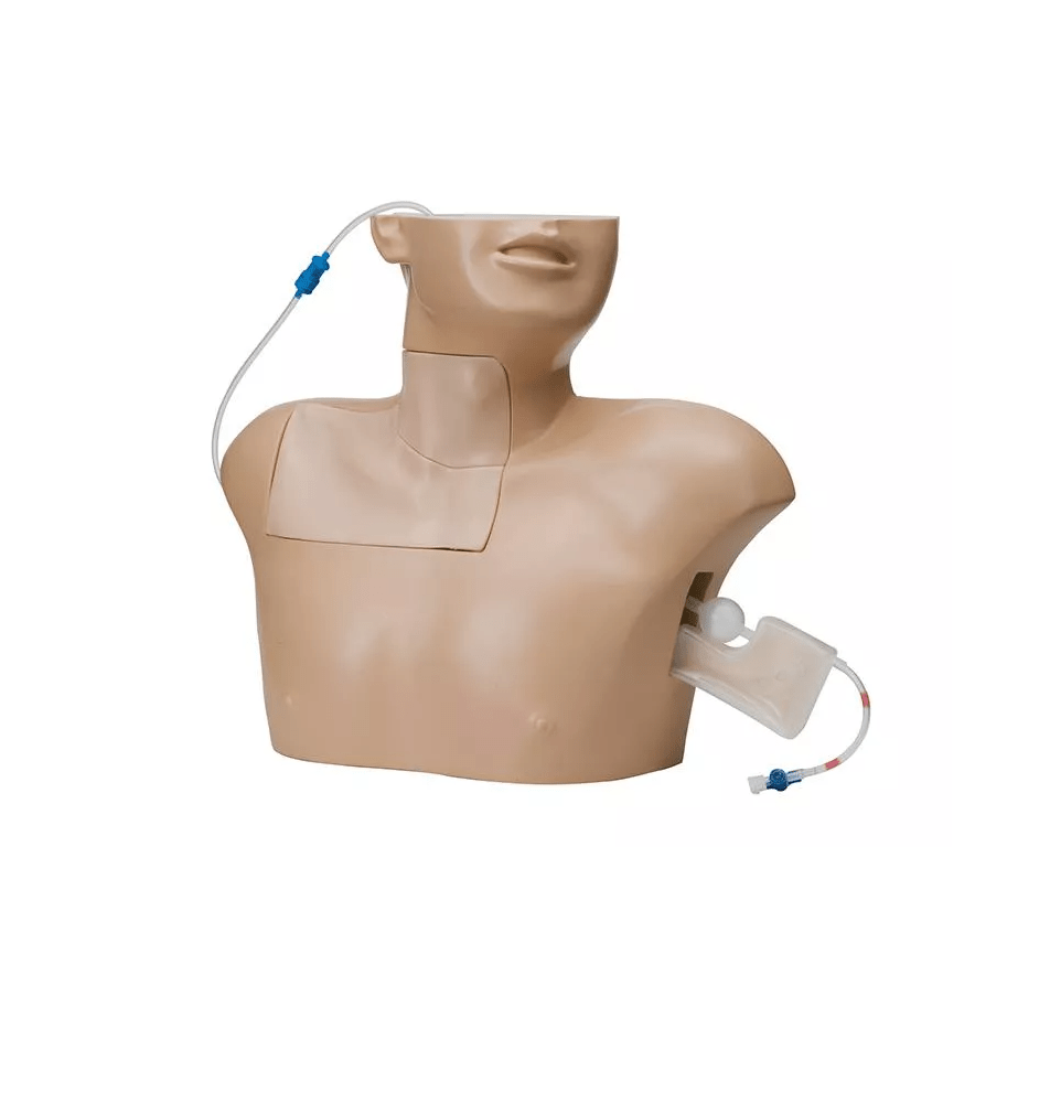 Simulator für die zentrale Venenpunktion - Erler - Zimmer